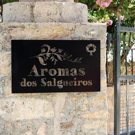 Aromas Dos Salgueiros Villa Каштелу де Виде Екстериор снимка